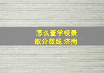 怎么查学校录取分数线 济南